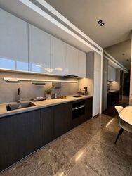 Cuscaden Reserve (D10), Condominium #628718901
